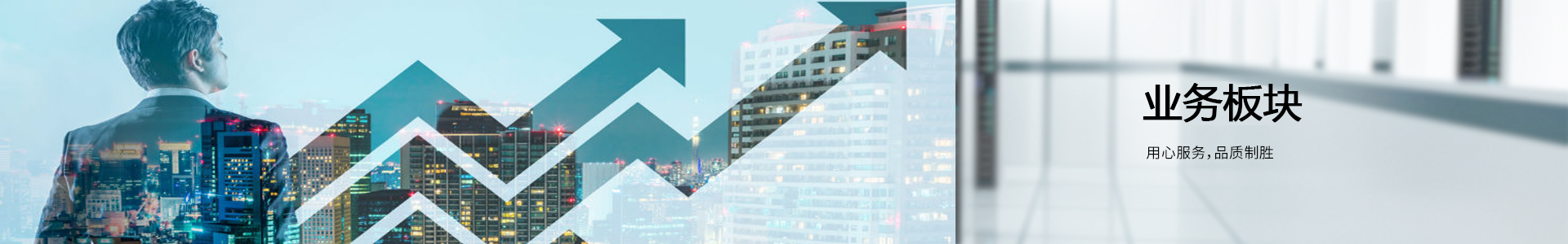 业务板块